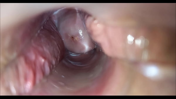inside pussy