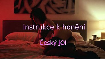 Instrukce v češtině pro honění. (AI)